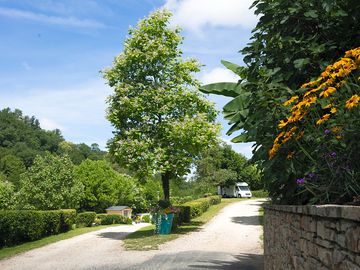 Neatly landscaped site