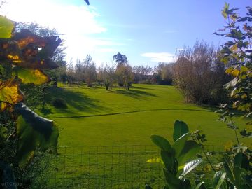 The putting-golf course