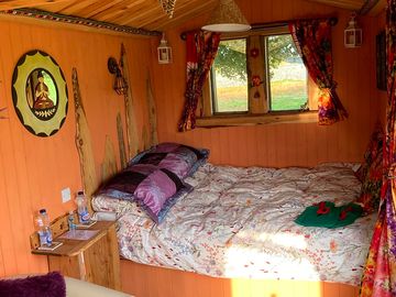 Inside daisy