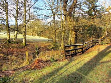 Woodland views all around