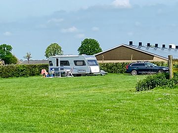 The grass pitches