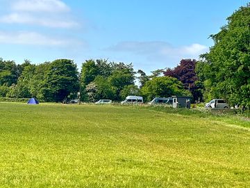 Grassy pitches