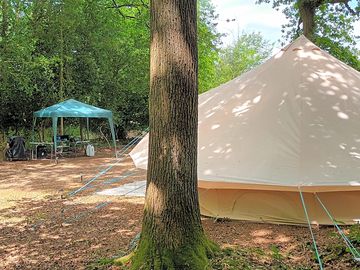 Private woodland pitch