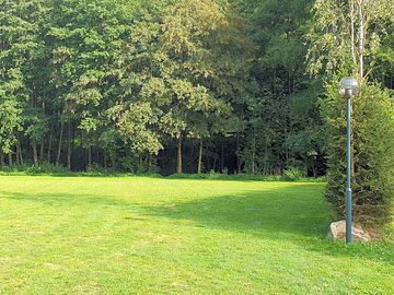 Camping field sheltered by mature trees