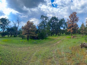 Main campground parking area
