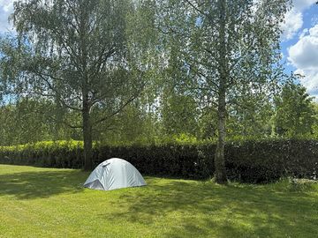 Pitches backed by hedges and shaded by trees