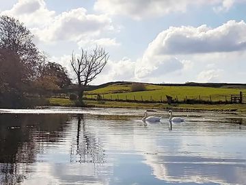 Views across the lake