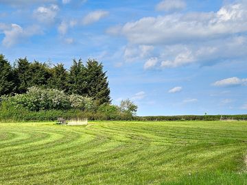 Pitches backed by trees