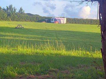 Grass pitches