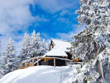 A snowy day in winter