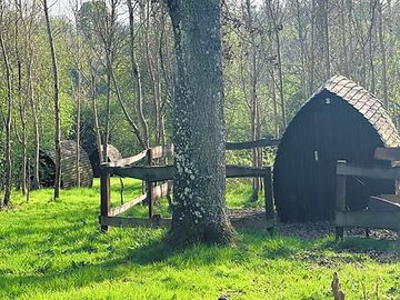 Pod in the woodland