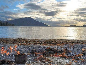 Long beach camping