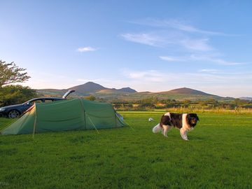 One of the lovely camping pitches