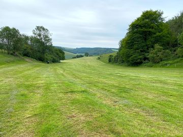 Campsite mowed and ready to go