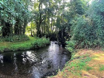 River for paddleboarding and fishing