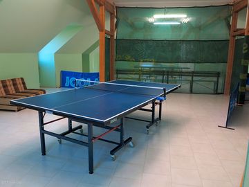 Table tennis