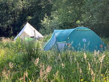 Choose a pitch in the meadow campsite