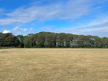 View towards the trees