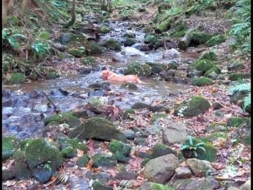 Wonderful walks