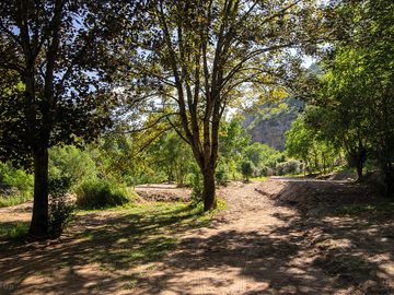 Paths and terraces around the site
