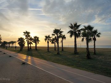 View of the beach