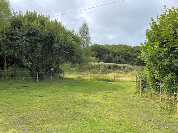 Three fenced fields to choose from