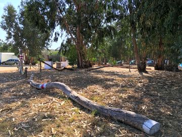 Camping area