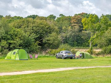 Grass pitches