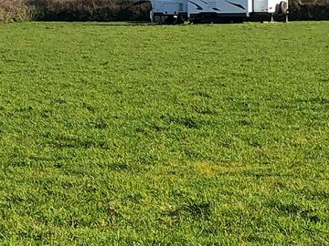 Camping field