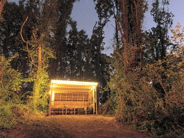 The sheltered kitchen space lit up at night under the canopy of the trees and the stars