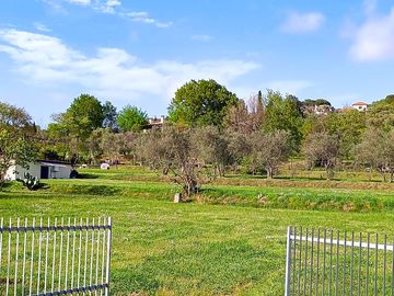 field