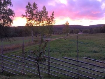 Evening view