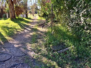 Camping area
