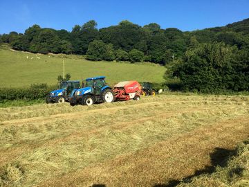 Fields during harvest