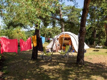 Camping between the trees