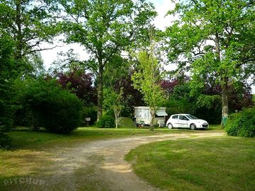 Pitches under the trees
