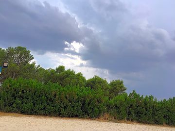 Site