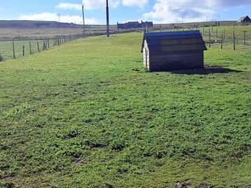 Camping field
