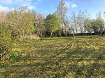 View of the site
