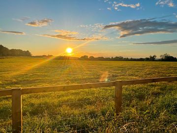Sunset over the meadow