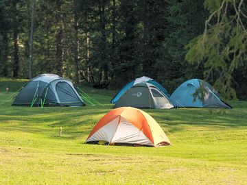 Wild camping area