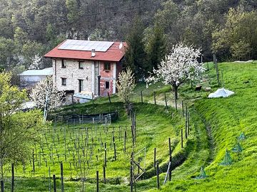 Main farmhouse
