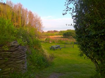 Cornish stone walling