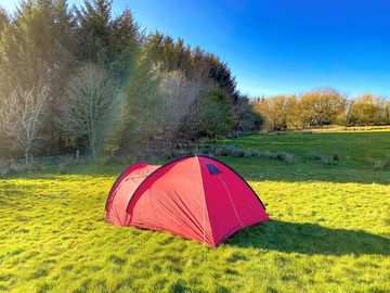 Spacious dog friendly camping pitch