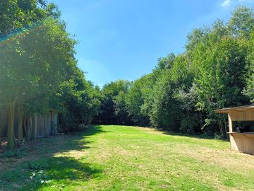 The camping green