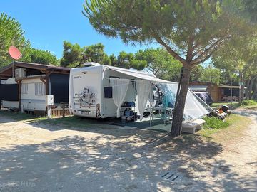 Shaded touring pitches
