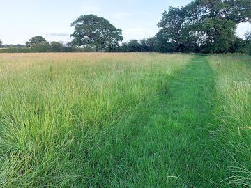 Field walk