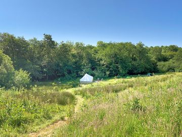 Peaceful camping spot