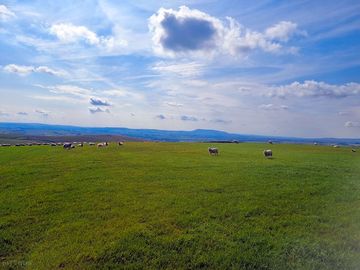 View from the site