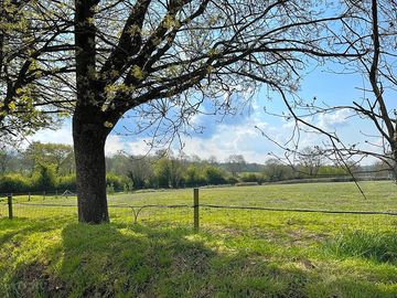 Views from site